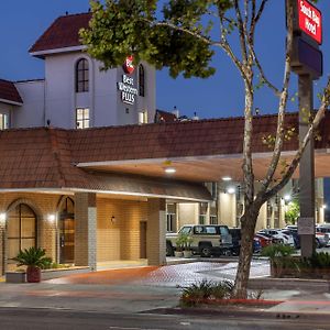 Best Western Plus South Bay Hotel